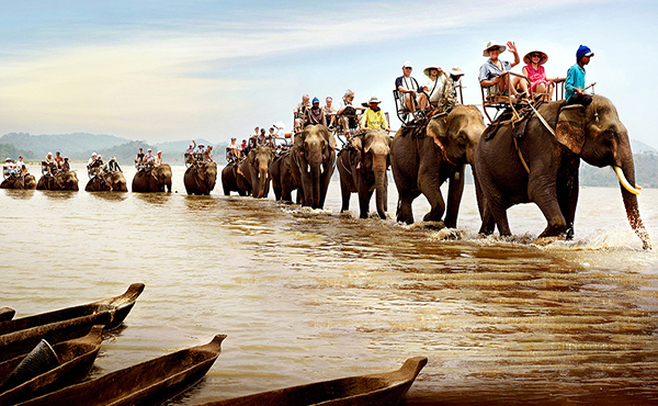 Taxi <=> Đắk Lắk